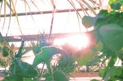 ../galleries/2017.09.16_Botanischer_Garten/DSC_4827.thumbnail.jpg