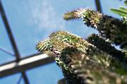 ../galleries/2017.09.16_Botanischer_Garten/DSC_4839.thumbnail.jpg