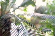 ../galleries/2017.09.16_Botanischer_Garten/DSC_4846.thumbnail.jpg