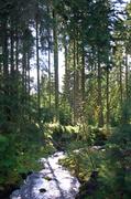 ../galleries/2017.10.01_Brocken/DSC_4871.thumbnail.jpg