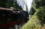 ../galleries/2017.10.01_Brocken/DSC_4919.thumbnail.jpg