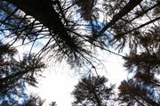 ../galleries/2017.10.01_Brocken/DSC_4967.thumbnail.jpg
