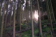 ../galleries/2017.10.01_Brocken/DSC_4988.thumbnail.jpg