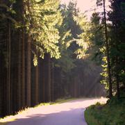 ../galleries/2017.10.01_Brocken/DSC_4993.thumbnail.jpg