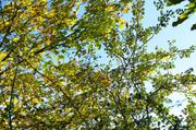 ../galleries/2017.10.14_Nikolausberg/DSC_5014.thumbnail.jpg