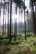 ../galleries/2017.11.04_Harzwanderung/DSC_5268.thumbnail.jpg