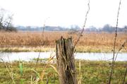 ../galleries/2018.01.06_Seeburger_See/DSC_5834.thumbnail.jpg