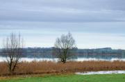 ../galleries/2018.01.06_Seeburger_See/DSC_5837.thumbnail.jpg