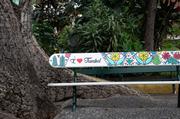 ../galleries/2018.01.26_Madeira_Tag_2/DSC_6025.thumbnail.jpg