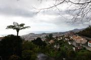 ../galleries/2018.01.26_Madeira_Tag_2/DSC_6040.thumbnail.jpg