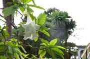 ../galleries/2018.01.26_Madeira_Tag_2/DSC_6050.thumbnail.jpg