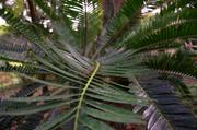../galleries/2018.01.26_Madeira_Tag_2/DSC_6059.thumbnail.jpg