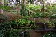 ../galleries/2018.01.26_Madeira_Tag_2/DSC_6060.thumbnail.jpg