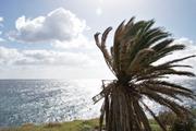 ../galleries/2018.01.28_Madeira_Tag_4/DSC_6146.thumbnail.jpg