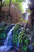 ../galleries/2018.01.30_Madeira_Tag_6/DSC_6235.thumbnail.jpg