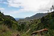 ../galleries/2018.01.30_Madeira_Tag_6/DSC_6251.thumbnail.jpg
