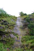 ../galleries/2018.01.30_Madeira_Tag_6/DSC_6273.thumbnail.jpg