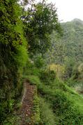 ../galleries/2018.01.30_Madeira_Tag_6/DSC_6274.thumbnail.jpg