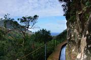 ../galleries/2018.01.30_Madeira_Tag_6/DSC_6296.thumbnail.jpg