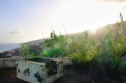 ../galleries/2018.01.31_Madeira_Tag_7/DSC_6356.thumbnail.jpg