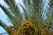../galleries/2018.02.01_Madeira_Tag_8/DSC_6387.thumbnail.jpg
