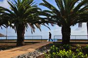 ../galleries/2018.02.01_Madeira_Tag_8/DSC_6404.thumbnail.jpg