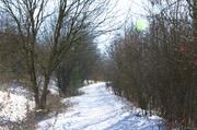 ../galleries/2018.02.18_Spaziergang_Hoher_Hagen/DSC_6504.thumbnail.jpg