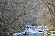 ../galleries/2018.03.09_Harz/DSC_6555.thumbnail.jpg