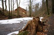 ../galleries/2018.03.09_Harz/DSC_6616.thumbnail.jpg