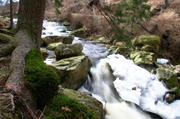 ../galleries/2018.03.09_Harz/DSC_6653.thumbnail.jpg