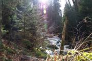 ../galleries/2018.03.09_Harz/DSC_6659.thumbnail.jpg
