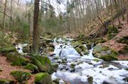 ../galleries/2018.03.09_Harz/DSC_6664.thumbnail.jpg
