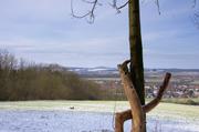 ../galleries/2018.03.18_Spaziergang_in_Weende/DSC_6688.thumbnail.jpg