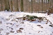 ../galleries/2018.03.18_Spaziergang_in_Weende/DSC_6693.thumbnail.jpg
