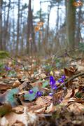 ../galleries/2018.03.24_Plesse/DSC_6709.thumbnail.jpg