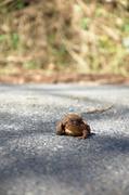 ../galleries/2018.04.08_Bärlauch/DSC_6890.thumbnail.jpg