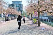 ../galleries/2018.04.15_Kirschblüte/DSC_6967.thumbnail.jpg
