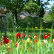 ../galleries/2018.05.01_Britzer_Garten/DSC_7012.thumbnail.jpg