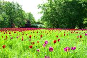 ../galleries/2018.05.01_Britzer_Garten/DSC_7021.thumbnail.jpg