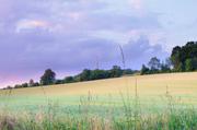 ../galleries/2018.06.16_Weende/DSC_9127.thumbnail.jpg