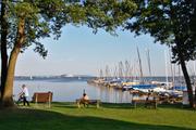 ../galleries/2018.06.29_Steinhuder_Meer/DSC_9212.thumbnail.jpg
