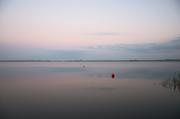 ../galleries/2018.06.29_Steinhuder_Meer/DSC_9238.thumbnail.jpg