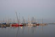 ../galleries/2018.06.29_Steinhuder_Meer/DSC_9254.thumbnail.jpg
