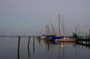 ../galleries/2018.06.29_Steinhuder_Meer/DSC_9256.thumbnail.jpg
