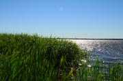 ../galleries/2018.06.29_Steinhuder_Meer/DSC_9274.thumbnail.jpg
