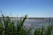 ../galleries/2018.06.29_Steinhuder_Meer/DSC_9283.thumbnail.jpg