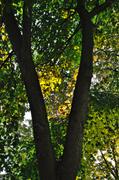 ../galleries/2018.07.18_Innenstadt/DSC_9381.thumbnail.jpg