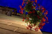 ../galleries/2018.07.24_Ljubljana_-_Tag_2/DSC_9471.thumbnail.jpg