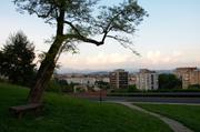 ../galleries/2018.07.25_Ljubljana_-_Tag_3/DSC_9529.thumbnail.jpg