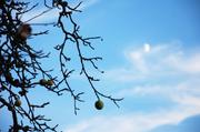 ../galleries/2018.08.17_Spaziergang_Nikolkausberg/DSC_9578.thumbnail.jpg